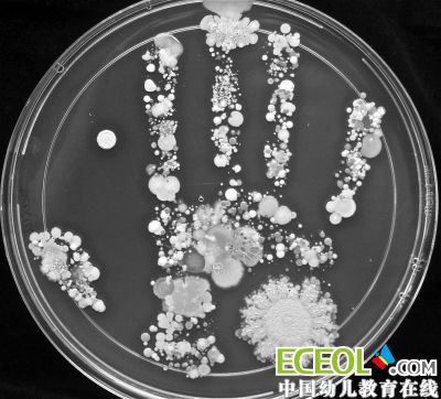 孩子不爱洗手怎么办 "学霸妈妈"一招治服