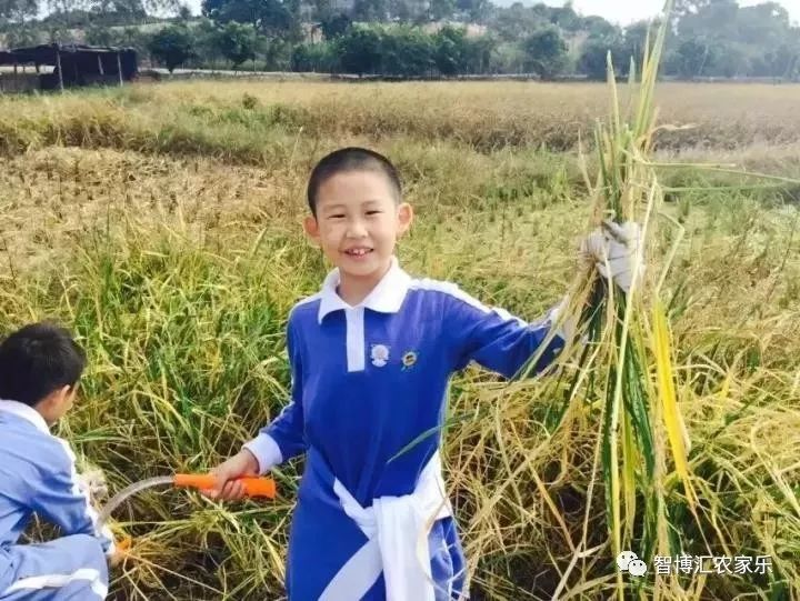 【图】深圳美丽乡村秋游特色体验之旅-公司团